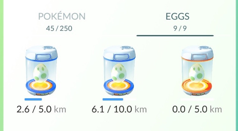 My three eggs, before my 12km run.